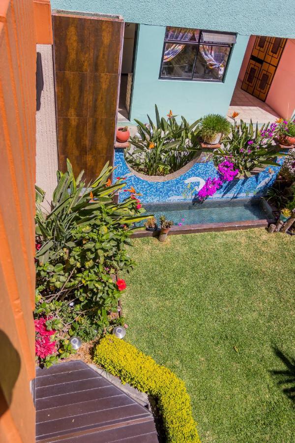 Homestay Casa De Palmas Oaxaca