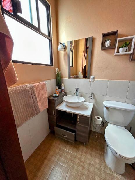 Homestay Casa De Palmas Oaxaca