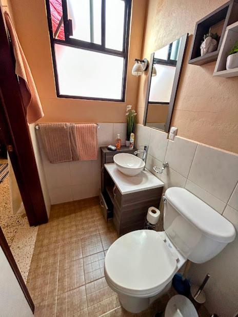 Homestay Casa De Palmas *