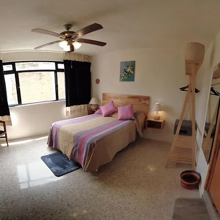 Casa De Las Palmas Guest House Oaxaca Exterior photo