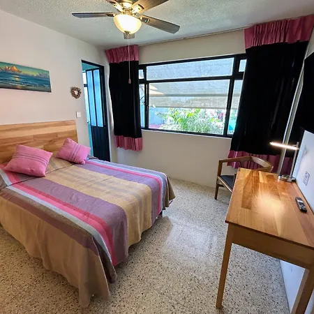 Casa De Las Palmas Guest House Oaxaca Exterior photo