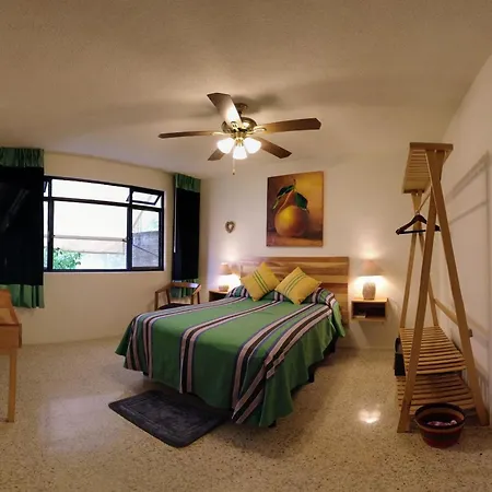 Casa De Las Palmas Guest House Oaxaca Exterior photo