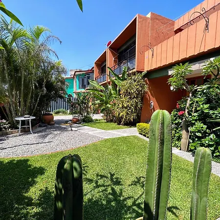 Casa De Las Palmas Guest House Oaxaca Exterior photo